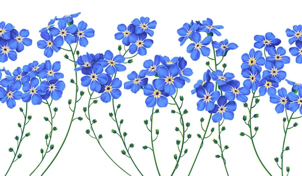 Latar Belakang Botani Dengan Bunga Lupakan Aku Bukan Biru Ilustrasi - Stok Vektor