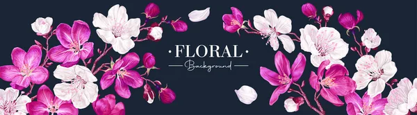 Banner Horizontal Vectorial Sobre Fondo Oscuro Con Flores Manzana Rosa — Vector de stock