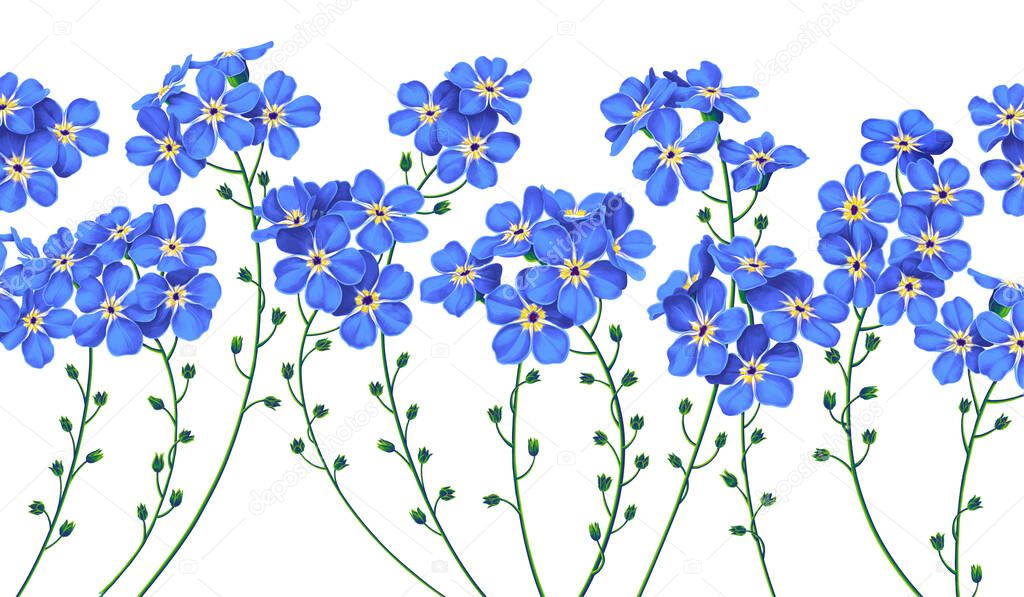 Botanical background with blue forget-me-not flowers. Vector illustration, realistic style, hand-drawn background for your design, postcards, posts in social networks, advertising, invitations.