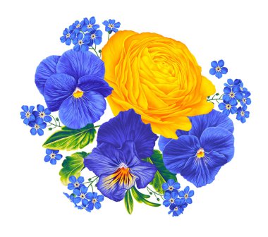 Sarı ranunculuslu vektör botanik çizimi, mavi ihlal ve sarı-mavi nonoşlar, unutma beni-notlar, marul yaprakları. Kart sanatı, hediyeler, tekstil, kıyafet tasarımları
