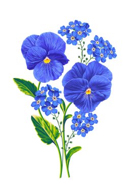 Kartpostallar, posterler, kıyafet tasarımı, kozmetik ürünleri, reklam afişleri, desenler, sosyal medya paylaşımları için vektör pansiyonlar ve unutma beni-notlar. Beyaz arkaplanda izole edilmiş gerçekçi botanik çizimi.