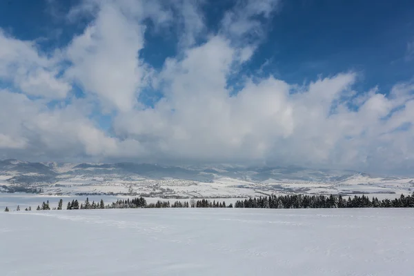 Paisaje invierno —  Fotos de Stock