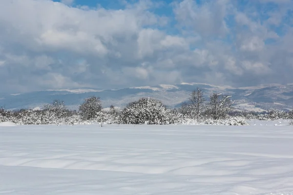 Paisaje invierno —  Fotos de Stock