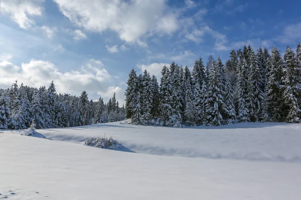 Paisagem inverno — Fotografia de Stock