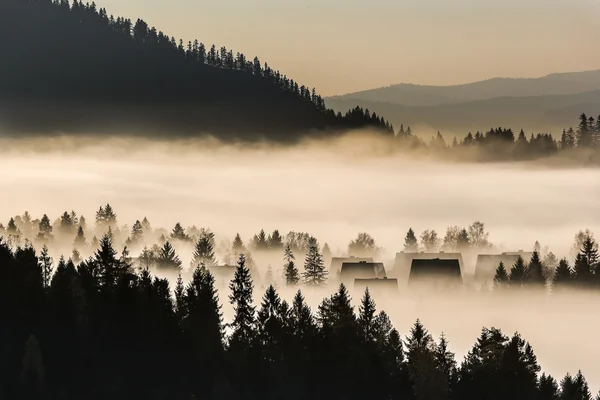 Rano mgły — Zdjęcie stockowe