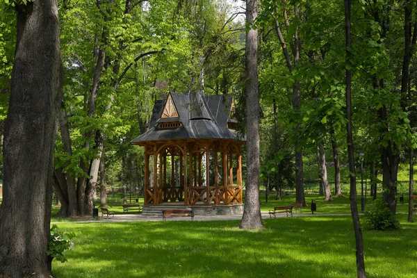 Parco a Szczawnica — Foto Stock