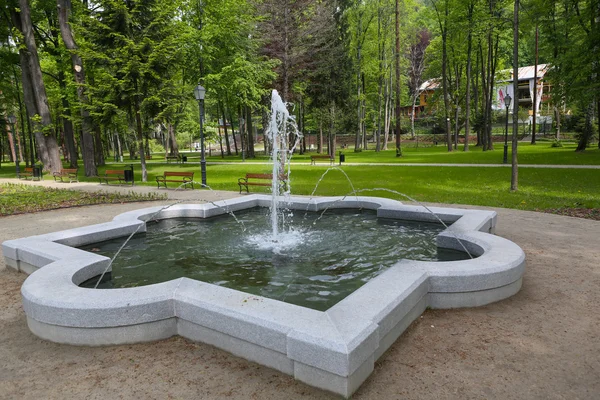 Fountain in Szczawnica — Stock Photo, Image