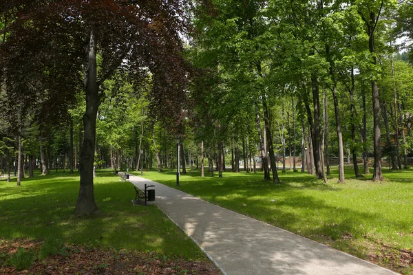 Park w Szczawnicy — Zdjęcie stockowe