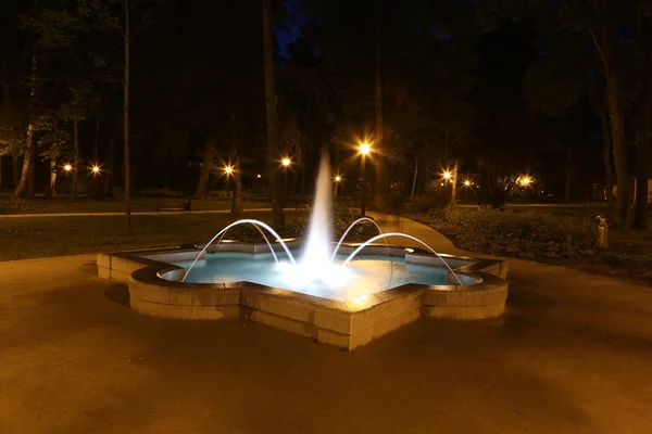 Fontana in Parco a Szczawnica — Foto Stock