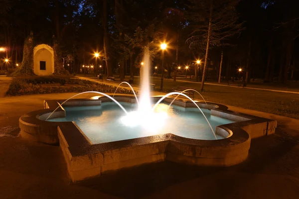 Fuente en el Parque en Szczawnica — Foto de Stock