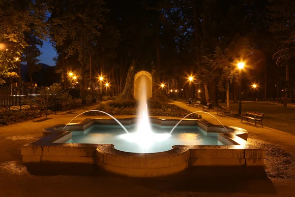 Fuente en el Parque en Szczawnica — Foto de Stock