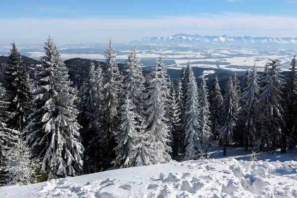 Paisaje invierno —  Fotos de Stock