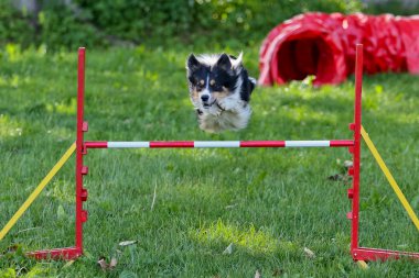 kenar kömür ocağı