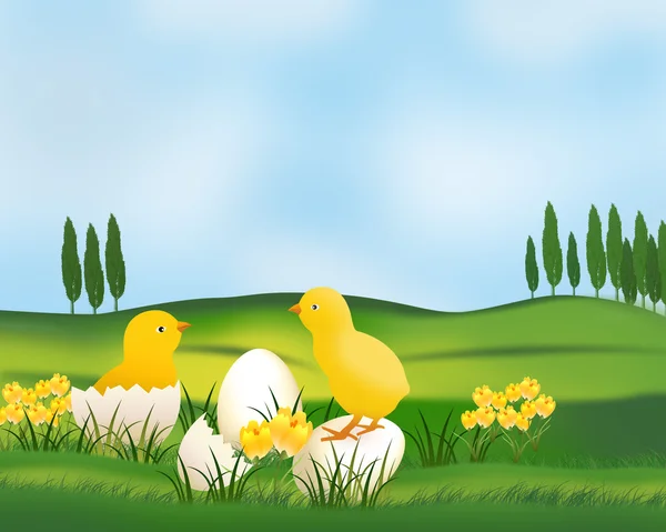 Paisaje de Pascua con pollos . — Vector de stock