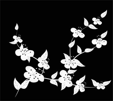 bir siyah çiçek şube.