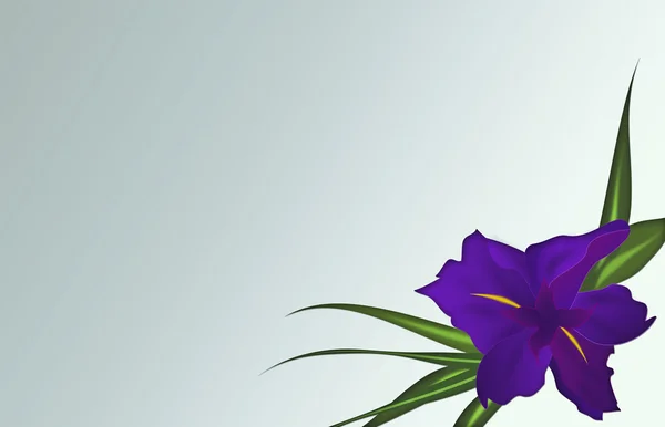 Iris-flower purple. — Stock Vector