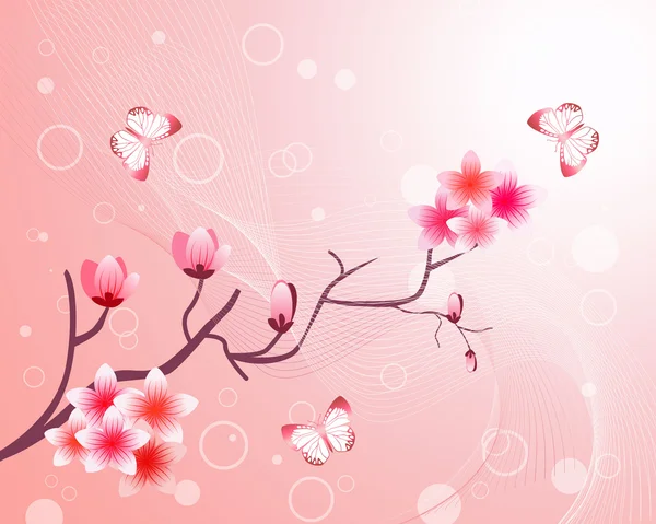 Cherry blossom. — Stock Vector