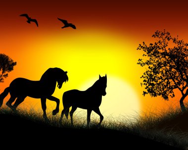 sunrise, atların Silhouettes.