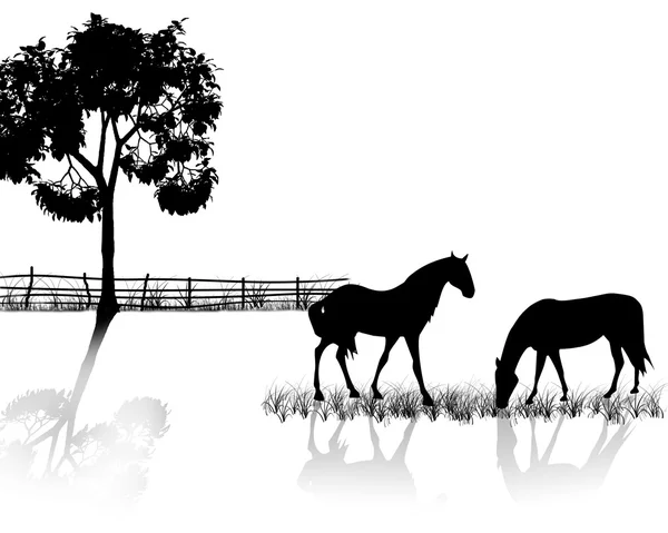 Siluety koní. — Stockový vektor