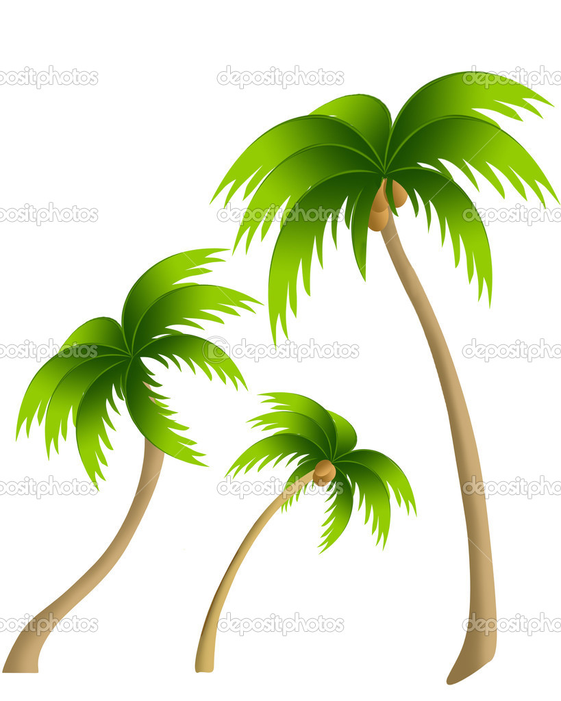 Тropical palms.