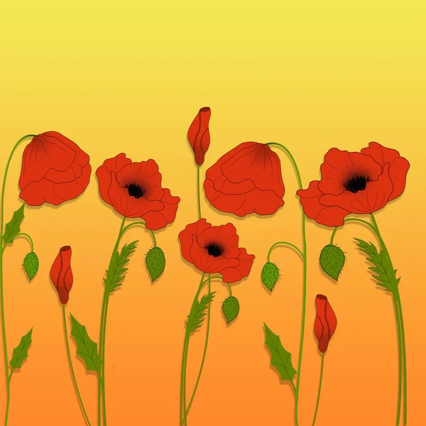 Poppies. — Stock Vector