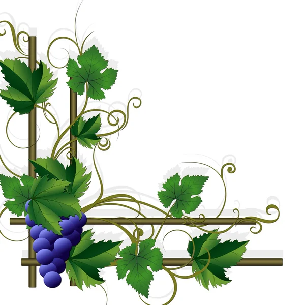 Decorative framework with blue grape. — Stock Vector