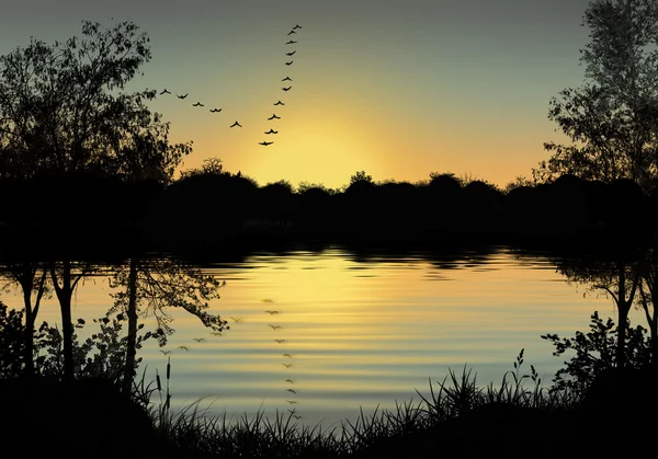 Sonnenuntergang mit Vogelschar . — Stockvektor