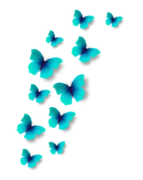 Butterflies. — Stock Photo, Image