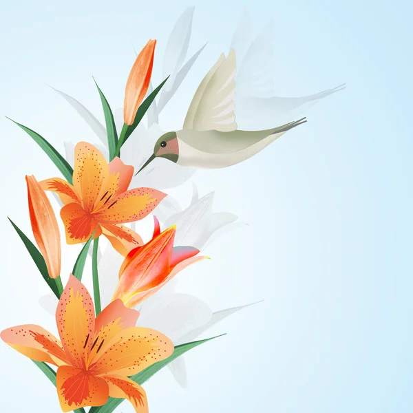Hintergrund mit Kolibri und Blumen. — Stockvektor