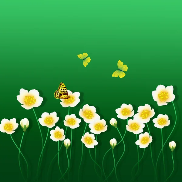 Fondo verde con flores y mariposas — Vector de stock