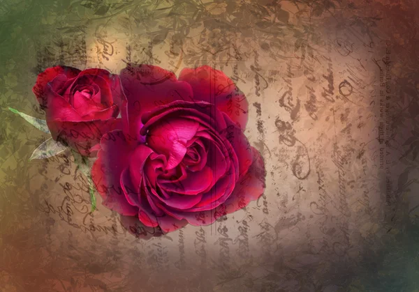 Róża na wzór pisma — Zdjęcie stockowe