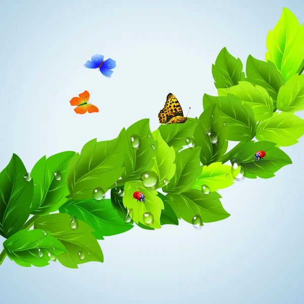 Branch with leaves and butterflies — Stock Vector