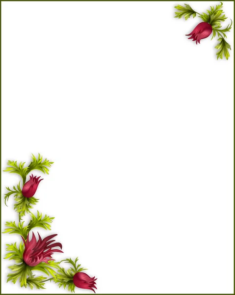 Frame Flowers White Background Space Text — Stock Photo, Image