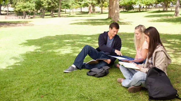 Tutoring in a sunny park — Stock Photo, Image