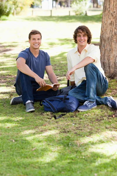 Portret van twee mannelijke studenten studeren — Stockfoto