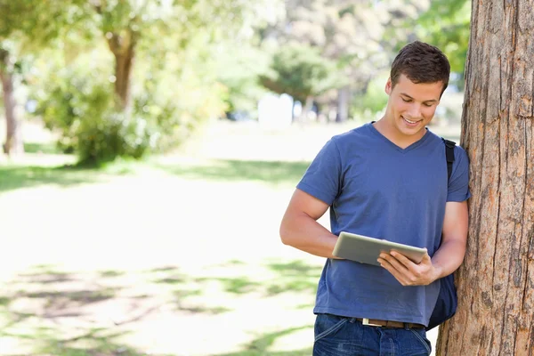 Student leaning against a tree while using a touch pad — Stock Photo, Image