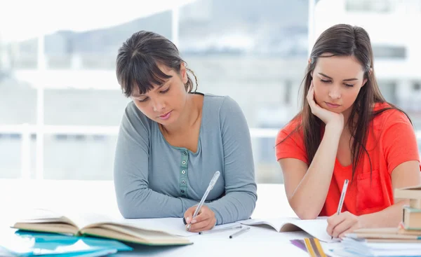 Twee studenten huiswerk samen — Stockfoto