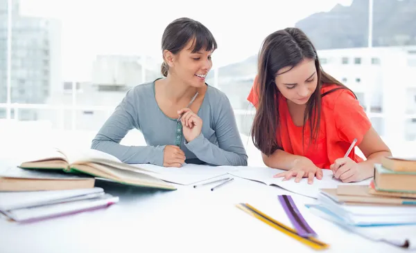 Two studying girls at home doing work — Stock Photo, Image