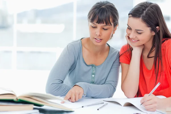 Two girls help one another as they study Stock Photo