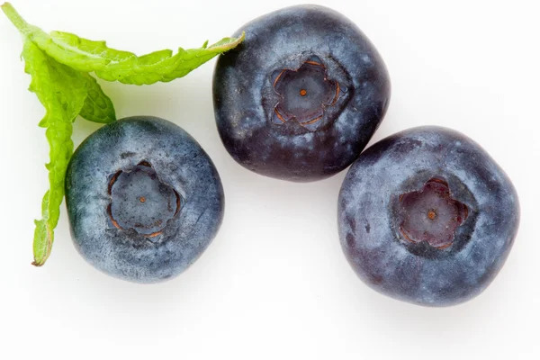 Blueberry — Stock Photo, Image