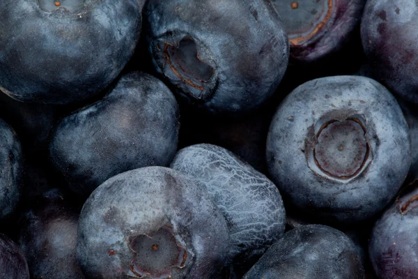 Haufen Blaubeeren — Stockfoto