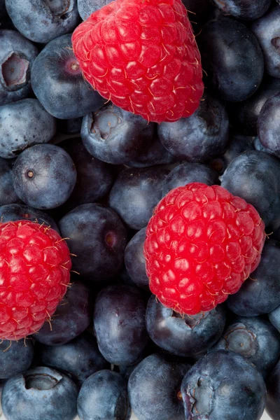 Raspberry on the blueblerries — Stock Photo, Image