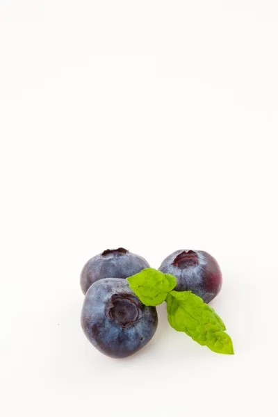 Blaubeeren — Stockfoto