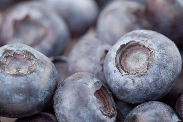 Blueberries fruit — Stock Photo, Image