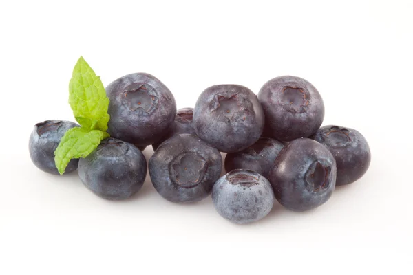 Blueberries isolated — Stock Photo, Image