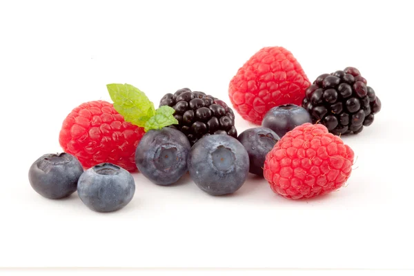 Choice of berries — Stock Photo, Image