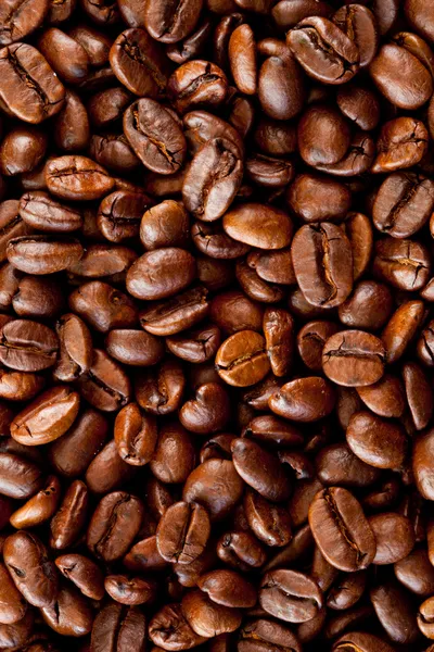 Close up of coffee seeds — Stock Photo, Image