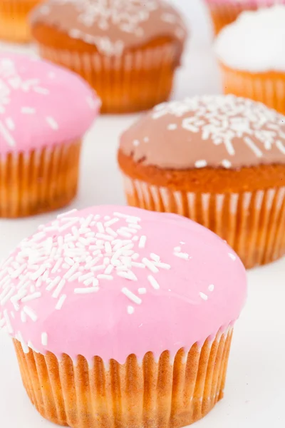 Close up de muitos muffins com açúcar de confeiteiro — Fotografia de Stock