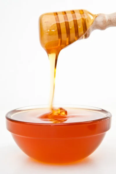 Honey on a honey dipper dropping in a bowl — Stock Photo, Image