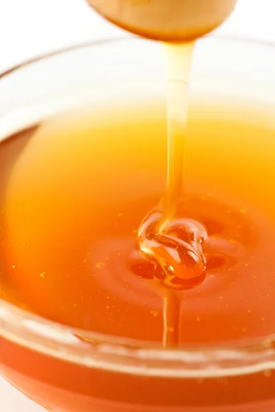 Close up of a thin honey trickle — Stock Photo, Image